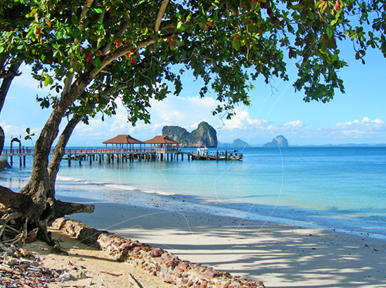 Thatched-roof huts on a wooden pier over turquoise sea, framed by tree branches on a sandy tropical beach