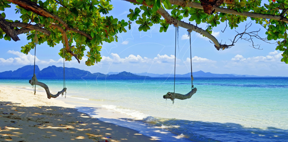 Two rope swings hang from a leafy tree branch over a white sand beach with turquoise water and distant islands