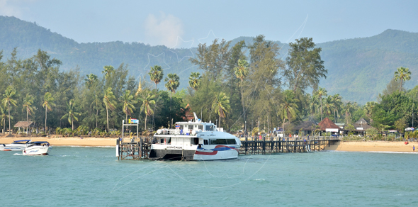 Passenger catamaran ferry moored at a long wooden pier on a palm-lined tropical beach below forested mountains
