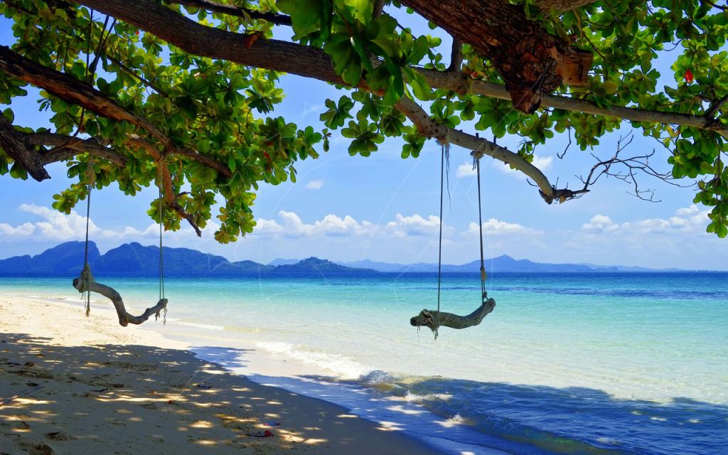 Two driftwood swings hang from a shady tree over white sand beside turquoise sea with distant islands