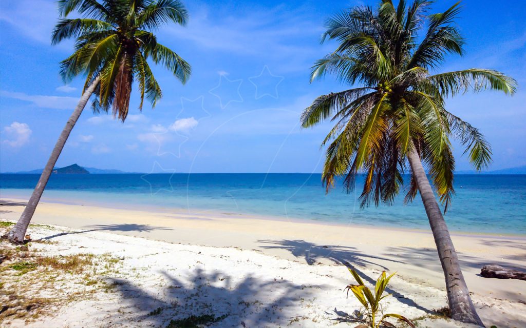 Two leaning coconut palms shade a white sand beach with turquoise sea and a distant island under blue sky