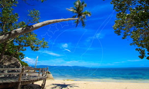 Tropical beach with leaning palm tree, wooden deck steps, white sand and turquoise sea under deep blue sky