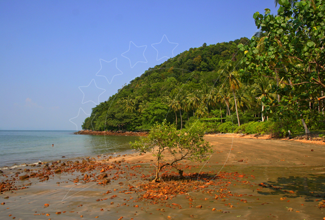 Empty tropical beach with orange-red rocky sand, a lone shrub and jungle-covered headland with palms under clear blue sky