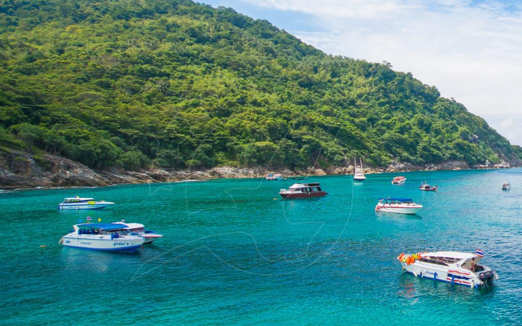 Speedboats and longtail boats anchored in a turquoise bay below a green forested headland in Thailand