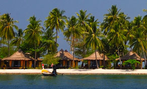 Thatched-roof beach bungalows among tall coconut palms on a tropical shore, seen across calm blue water