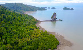 Aerial view of a jungle-covered headland with a small wooden pier, limestone karst islet and low-tide mudflats