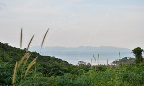 Hazy sea view from a green hillside with tall grasses in foreground and distant island headland under overcast sky