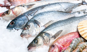 Fresh whole fish including sea bass, bream and red snapper displayed on crushed ice at a seafood market stall
