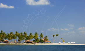 Small tropical island lined with coconut palms and beach huts under a blue sky, seen from the water