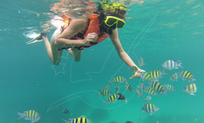 Snorkeler in orange life vest and yellow mask swims among striped sergeant major fish in turquoise water
