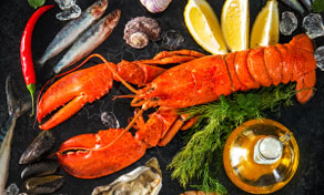 Cooked whole lobster on dark slate with ice, oysters, lemon wedges, dill, chilli, mushrooms and olive oil bottle