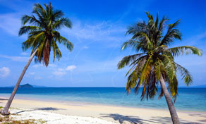 Two leaning coconut palms on a white sand tropical beach with turquoise sea and blue sky