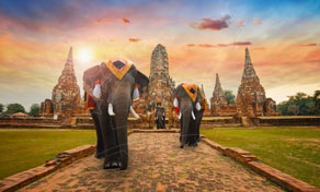 Decorated elephants with mahouts walking a brick path toward ancient Thai temple prangs at sunset, Ayutthaya