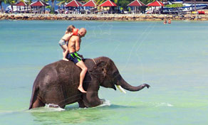 Two tourists ride an elephant wading through shallow turquoise sea water off a beach lined with umbrellas