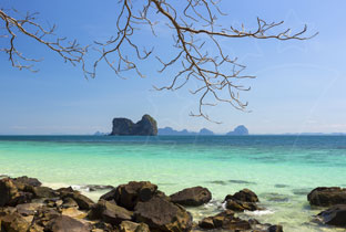 Turquoise tropical sea with limestone karst island, rocky shoreline and bare branches framing a clear blue sky