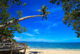 Leaning coconut palm over a white sand tropical beach with a small wooden jetty under a deep blue sky