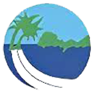 Stylized illustration of a tropical island with palm trees, ocean waves, and coastal landscape in blue and green tones