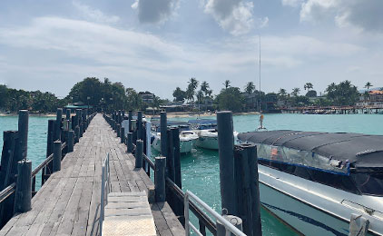 Wooden pier extending into turquoise waters with boats and palm trees visible in tropical harbor