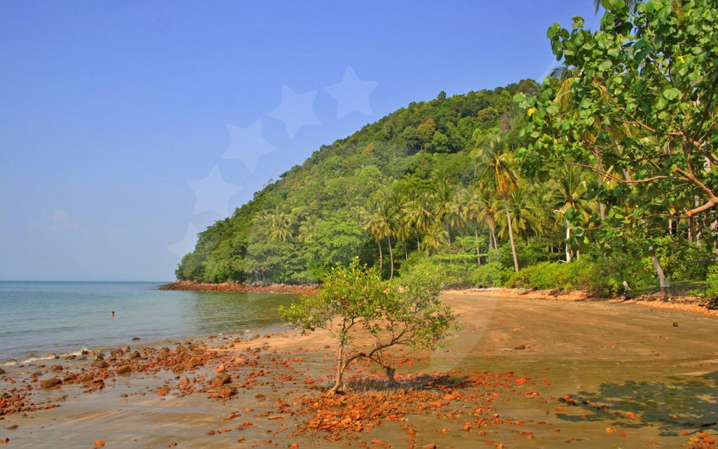 Empty sandy beach with a lone mangrove sapling, orange rocks and a jungle headland with coconut palms