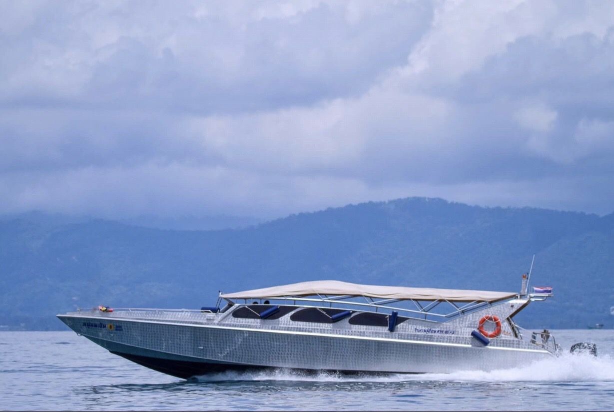 Silbernes Aluminium-Schnellboot mit beigem Verdeck fährt bei bedecktem Himmel an bewaldeten Hügeln vorbei