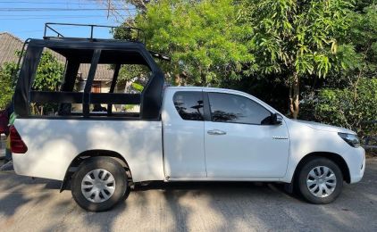 Weißer Pickup mit schwarzem Metallträger über der Pritsche, am schattigen Sandstraßenrand bei grünen Bäumen geparkt
