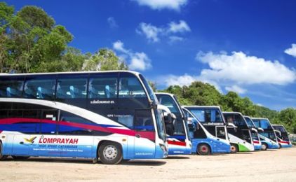 Row of white and blue Lomprayah coaches parked diagonally on a gravel lot under a bright blue sky