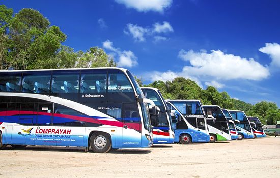 Row of Lomprayah coach buses parked on a dirt lot under blue sky with palm trees in Thailand