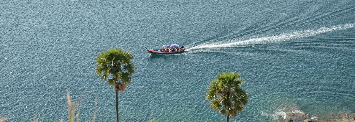 Longtail boat with umbrellas speeding across turquoise sea, seen from a clifftop above two palm trees