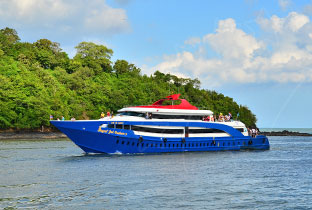 Blue passenger ferry with red canopy cruising past a forested tropical island under a bright blue sky